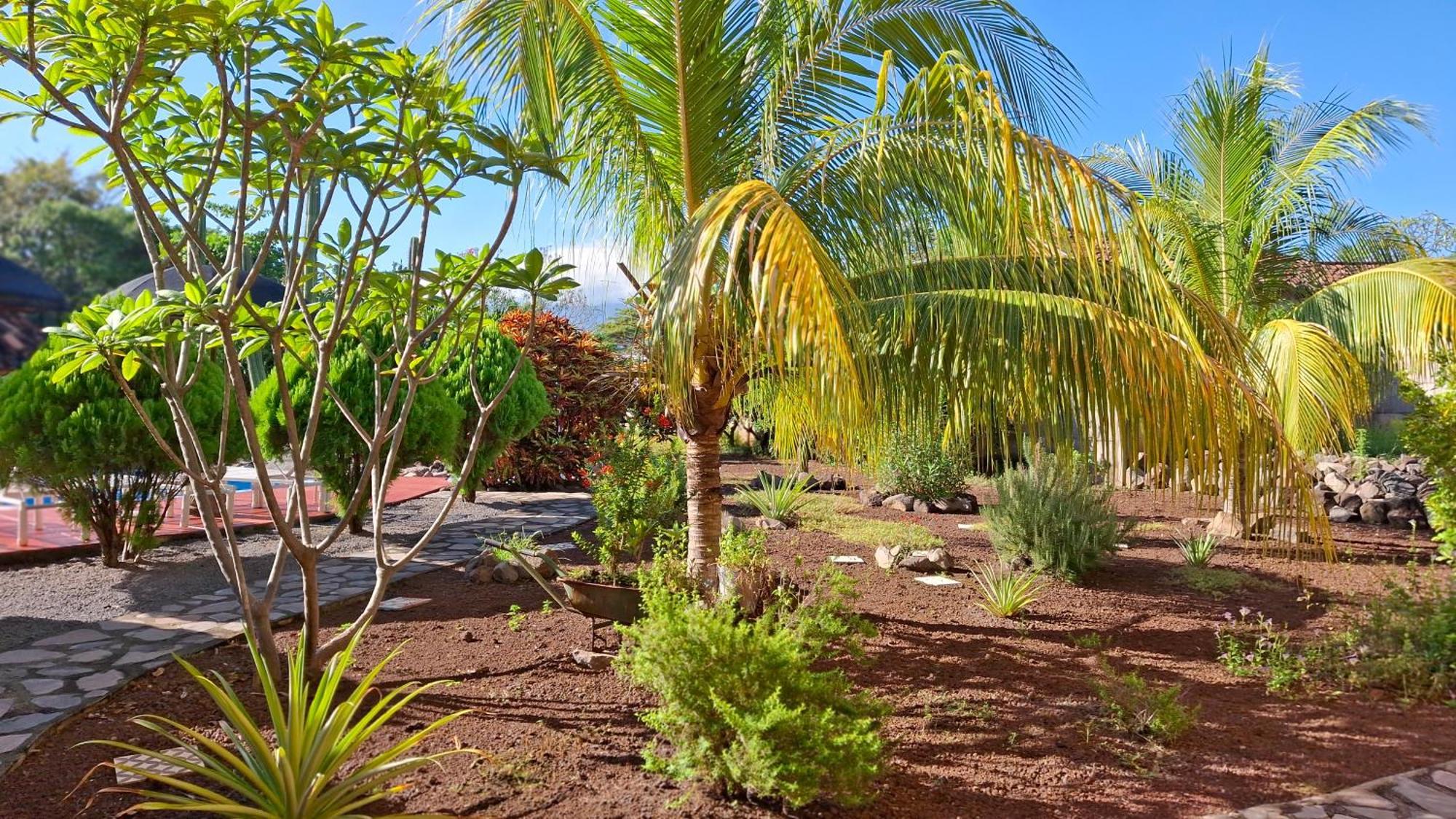 Hotel Jardin Garden De Granada Nicaragua 外观 照片