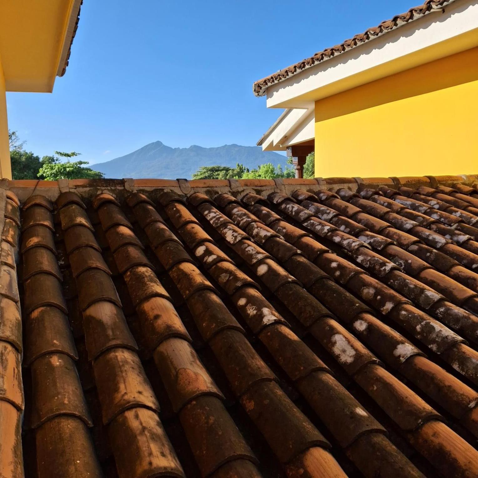 Hotel Jardin Garden De Granada Nicaragua 外观 照片