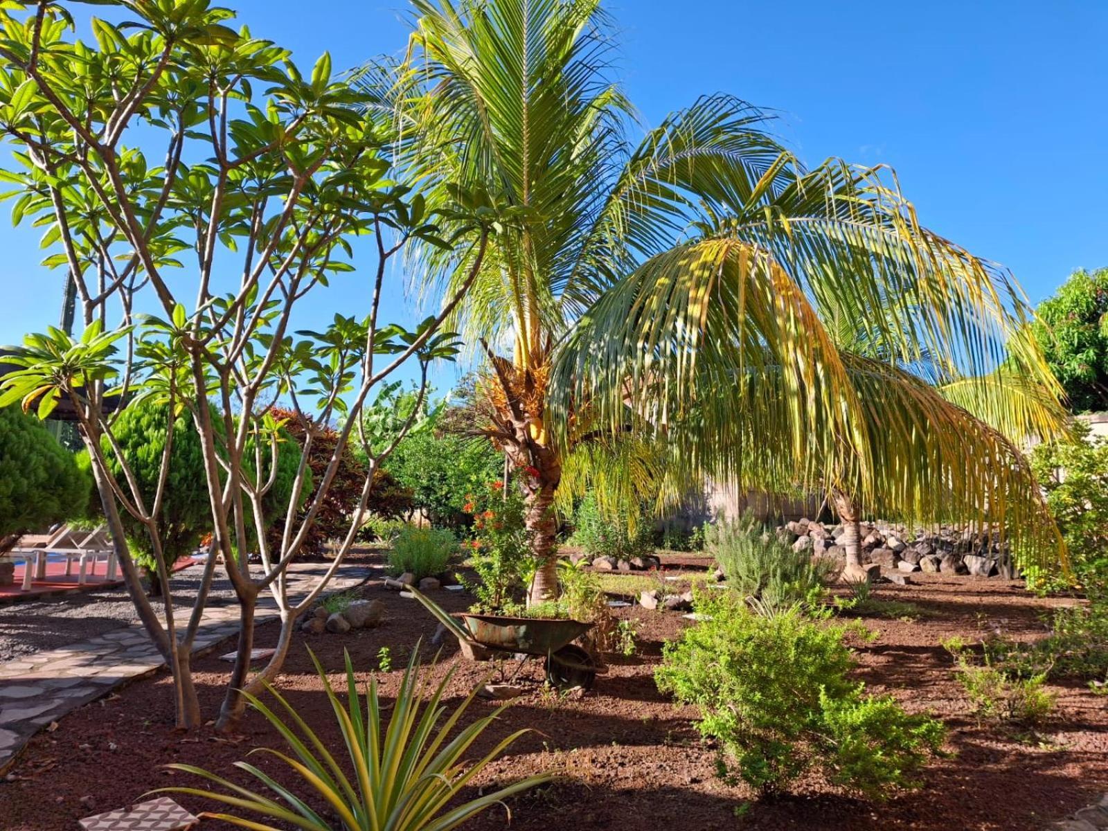 Hotel Jardin Garden De Granada Nicaragua 外观 照片